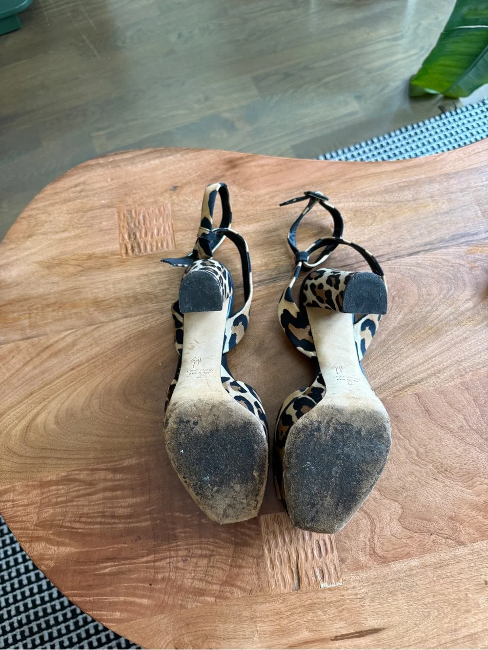 Giuseppe Zanotti giuseppe zanotti